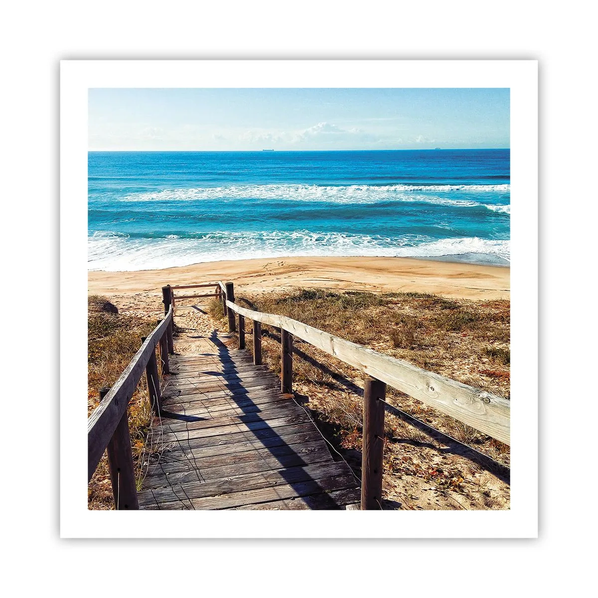 Poszter - Fuss! - 60x60 cm