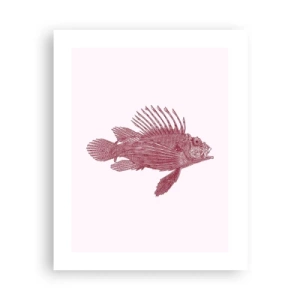 Poszter - Egzotikus vizek lakója - 40x50 cm