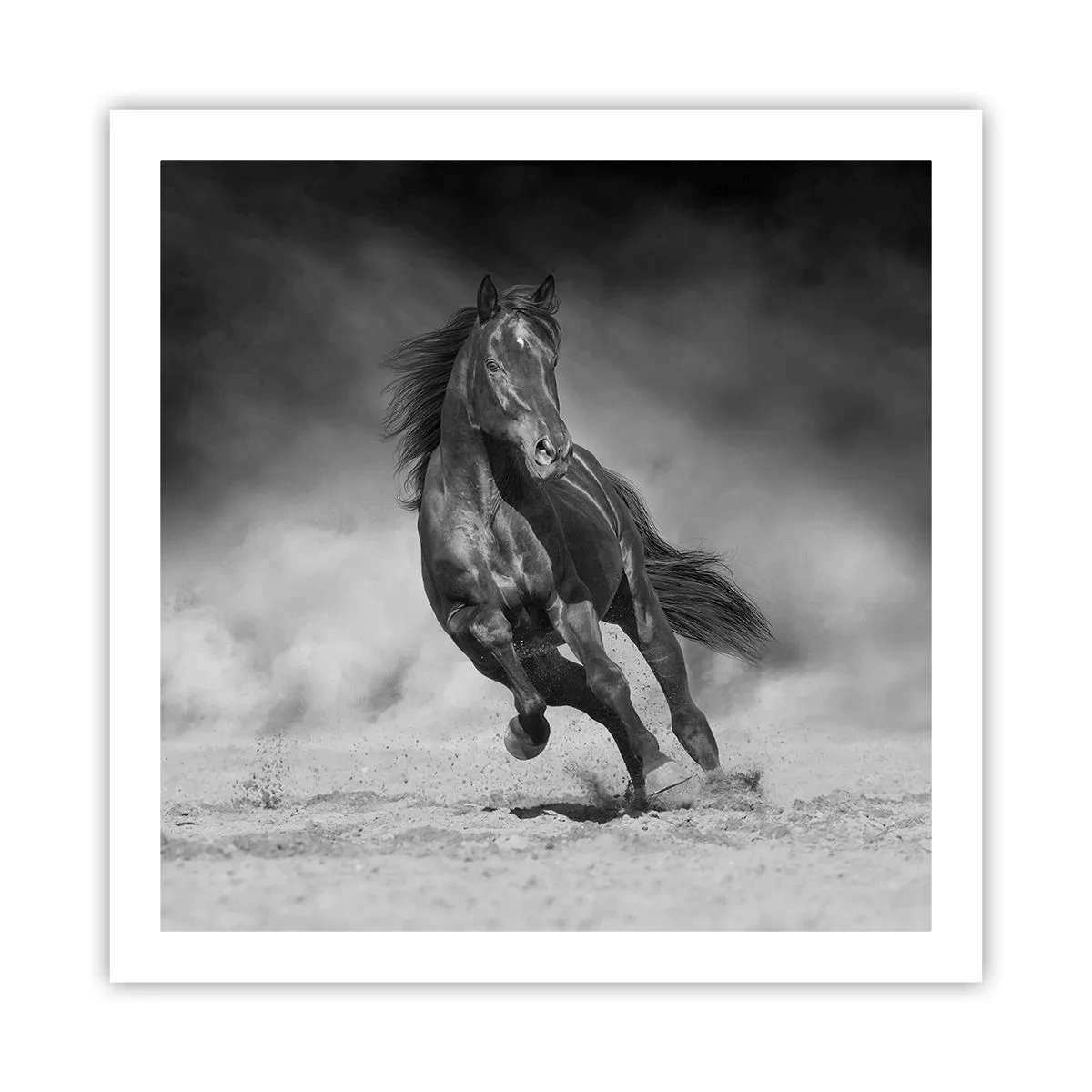 Poszter - Az emírhez méltó - 60x60 cm