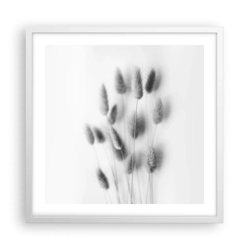 Poszter fekete keretben - A bolyhos fű - 50x50 cm