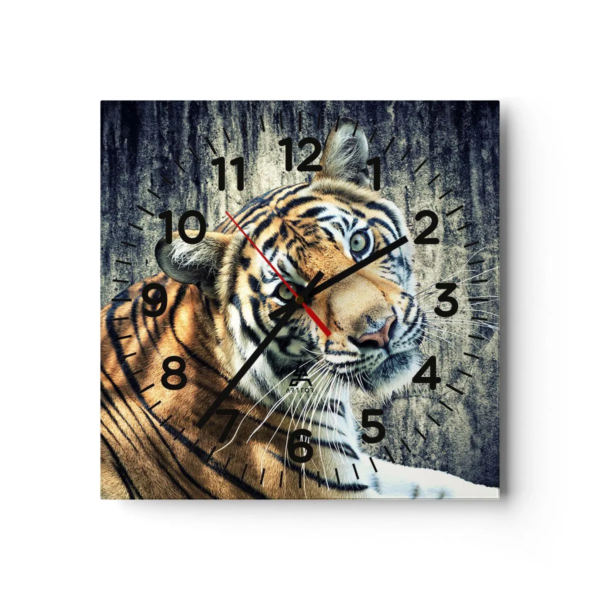 Falióra, Óra - Portré a fénysugárban - 40x40 cm