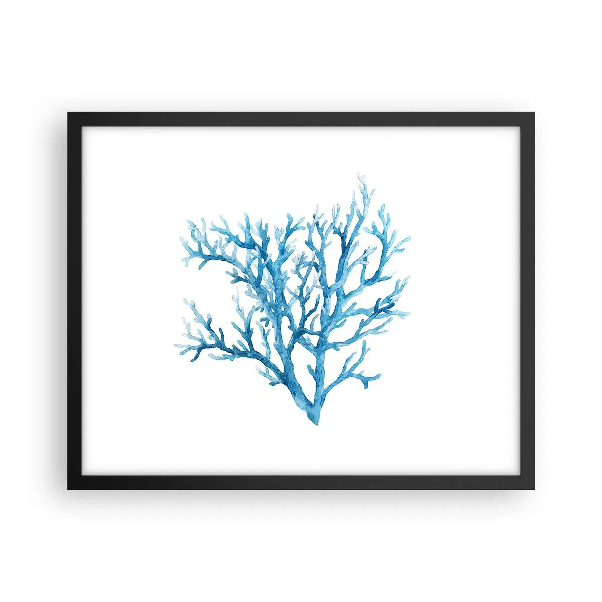 Poszter fehér keretben - Tengeri filigrán - 50x40 cm