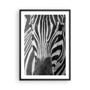 Poszter fehér keretben - Zebra portréja fekete-fehér kompozícióban - 50x70cm - A világ fekete-fehér - Modern fali dekoráció nappalihoz és hálószobához ARTTOR