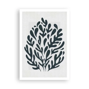 Poszter - A természet formái - 70x100 cm