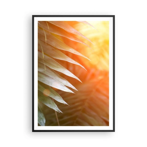Poszter fehér keretben - Reggel a dzsungelben - 70x100 cm