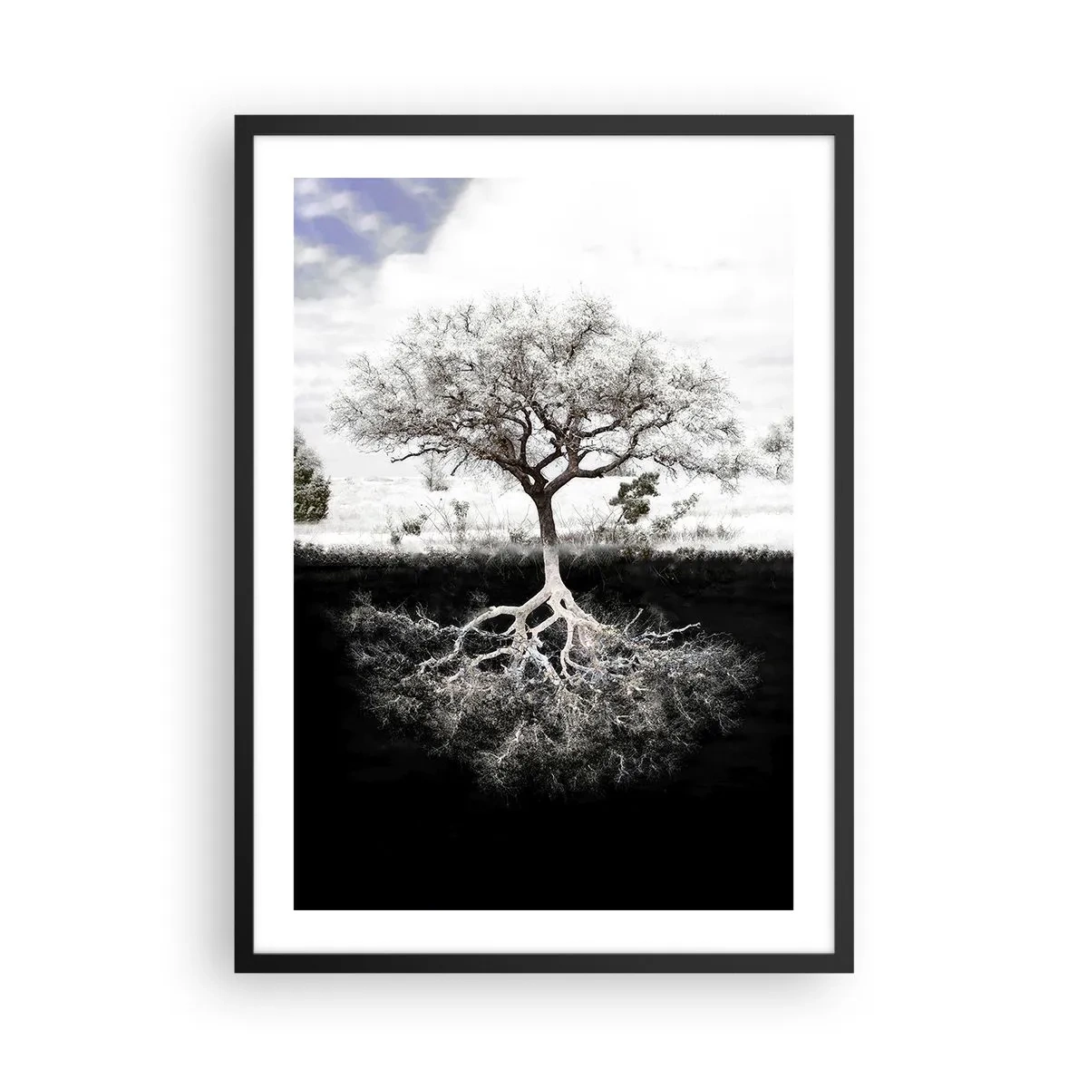 Poszter fehér keretben - Egy minimalista fa látható gyökérzettel - 50x70cm - A világ természetének felfedezése - Modern fali dekoráció nappalihoz és hálószobához ARTTOR