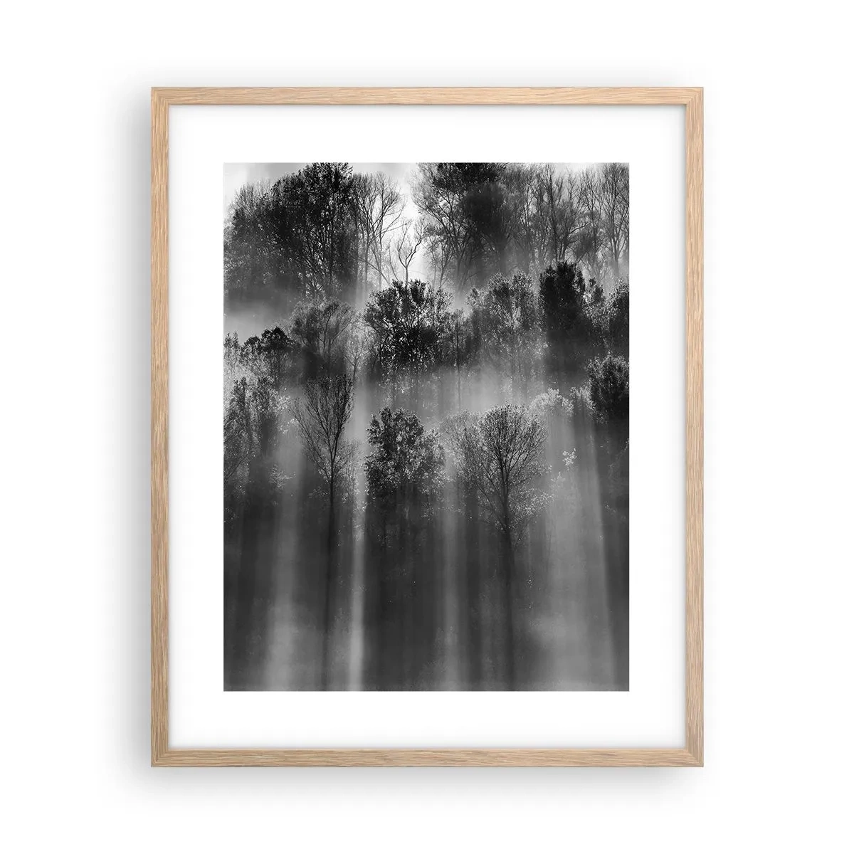 Poszter világos tölgy keretben - Fénypatakokban - 40x50 cm