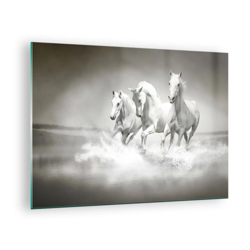 Üveg kép - Három fehér ló vágtat át a vízen - 70x50cm - Fehér őrület - Modern fali dekoráció nappalihoz és hálószobához ARTTOR