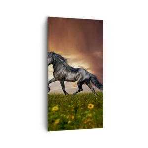 Vászonkép - Fekete herceg - 65x120 cm