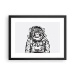 Poszter fehér keretben - Alternatív evolúció - 40x30 cm