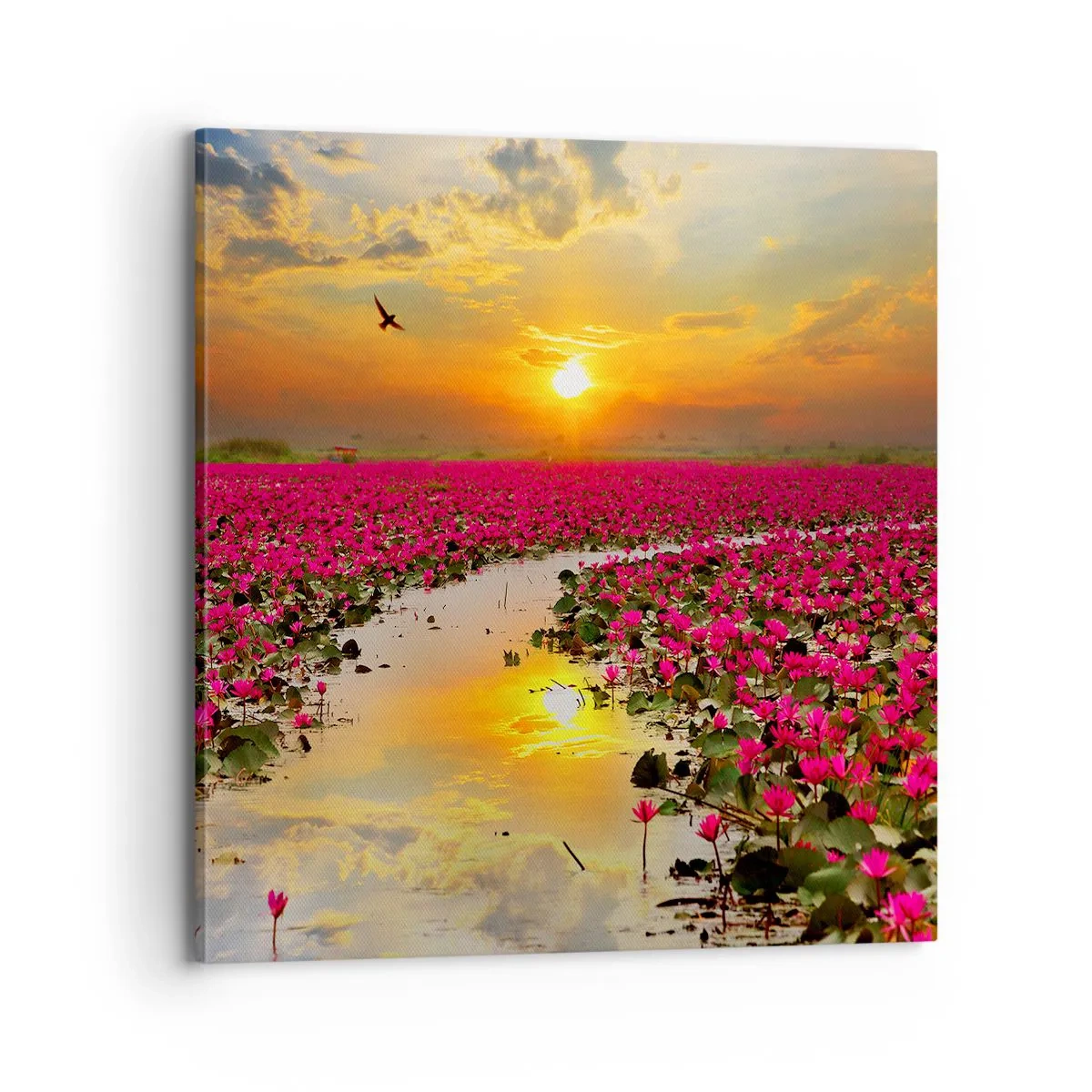 Vászonkép - A tó titokzatos élete - 70x70 cm