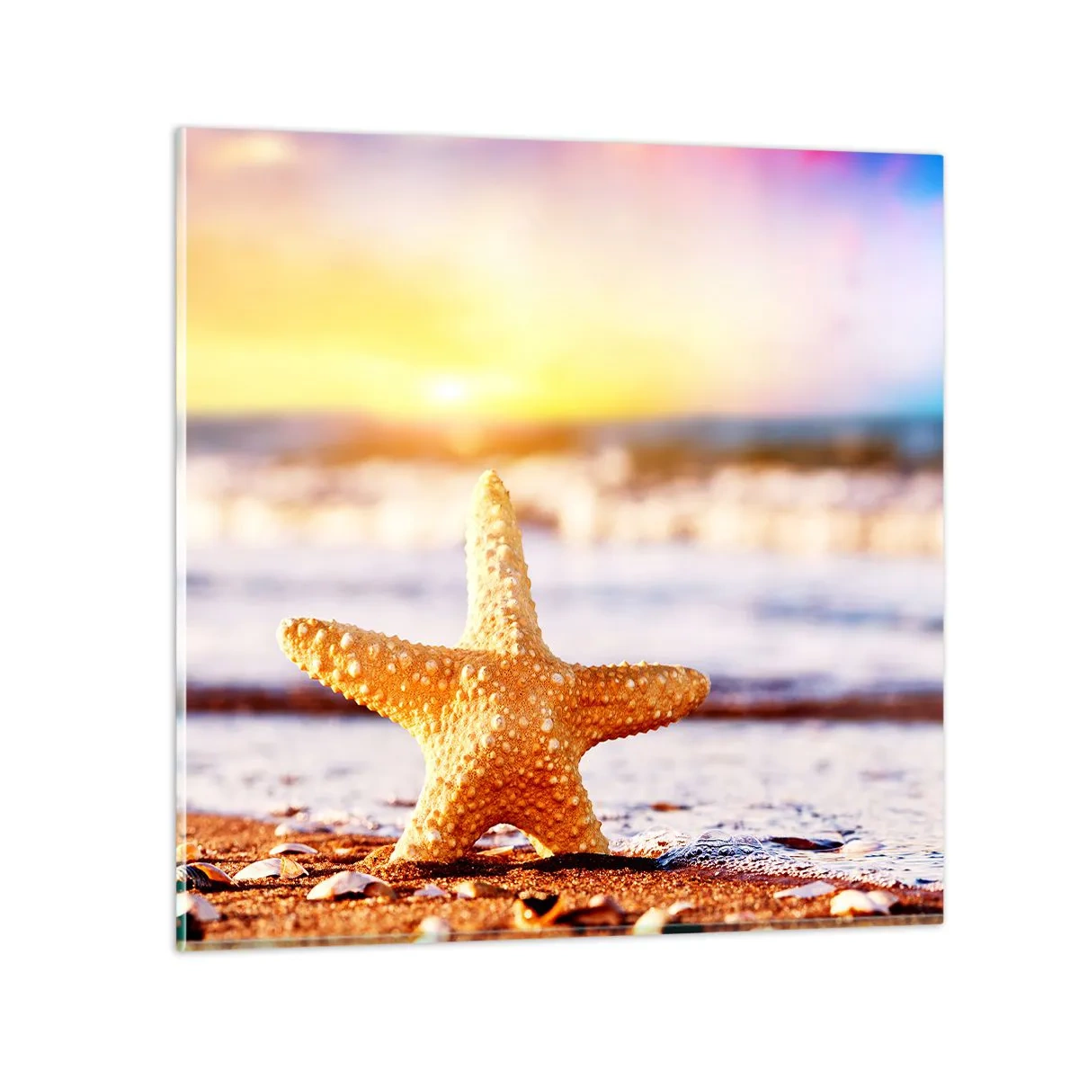 Üveg kép - Tengeri ajándék - 40x40 cm