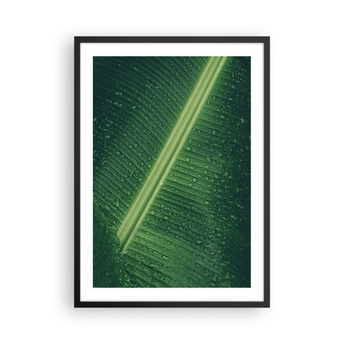 Poszter fehér keretben - Zöld levél közeli képe vízcseppekkel - 50x70cm - A növényzet szerkezete - Modern fali dekoráció nappalihoz és hálószobához ARTTOR