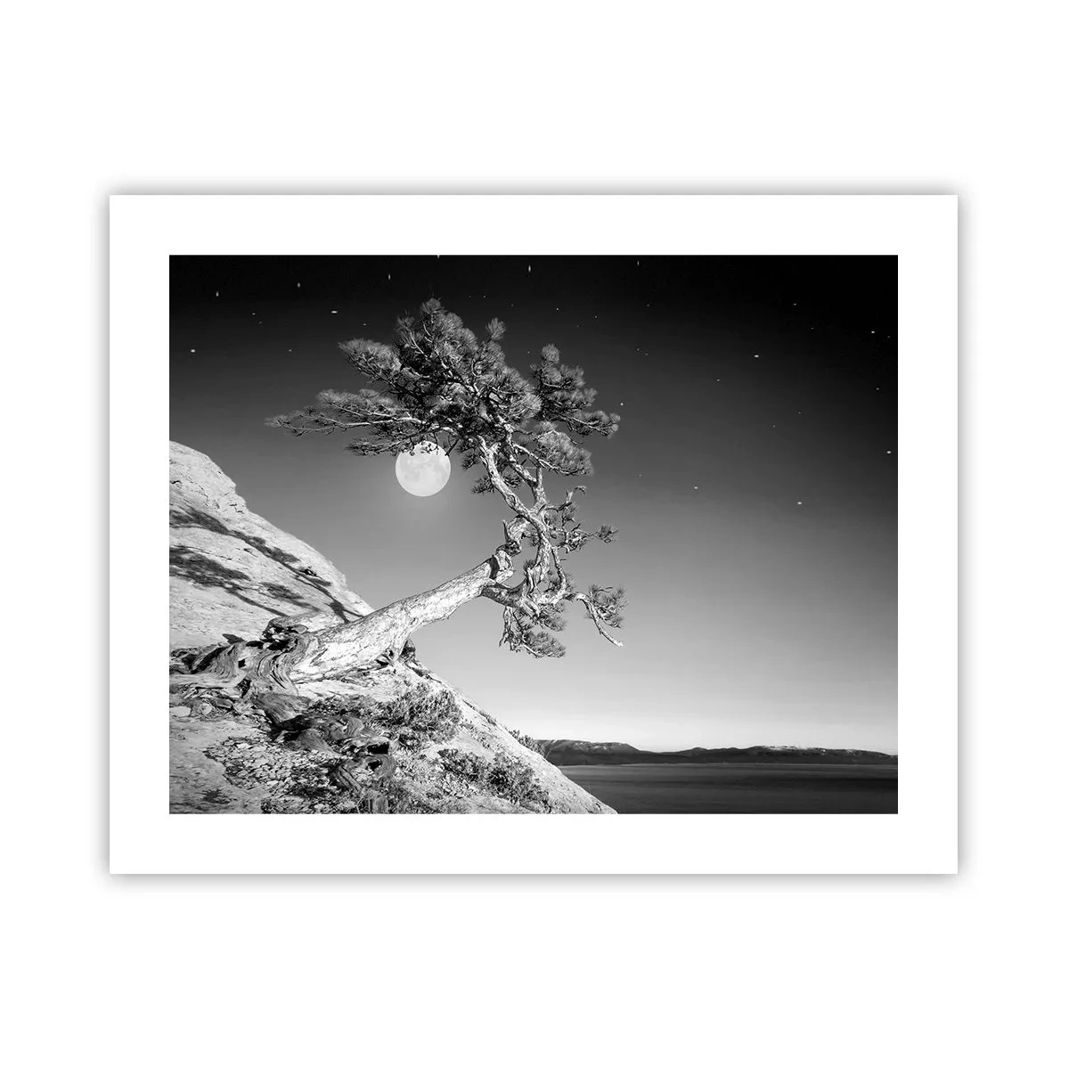 Poszter - Győztes harcos - 50x40 cm