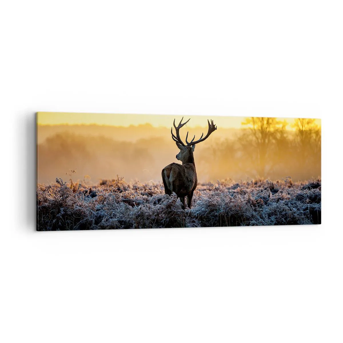 Vászonkép - Megkoronázott a birtokán - 140x50 cm