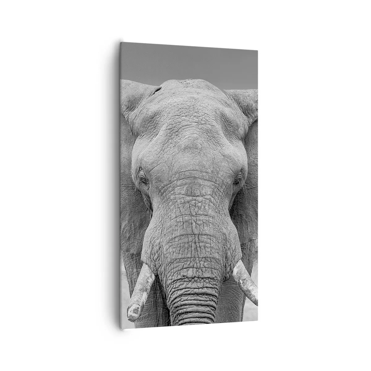 Vászonkép - Üdv a világomban - 65x120 cm