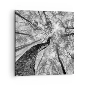 Vászonkép - Verseny a fény felé - 70x70 cm