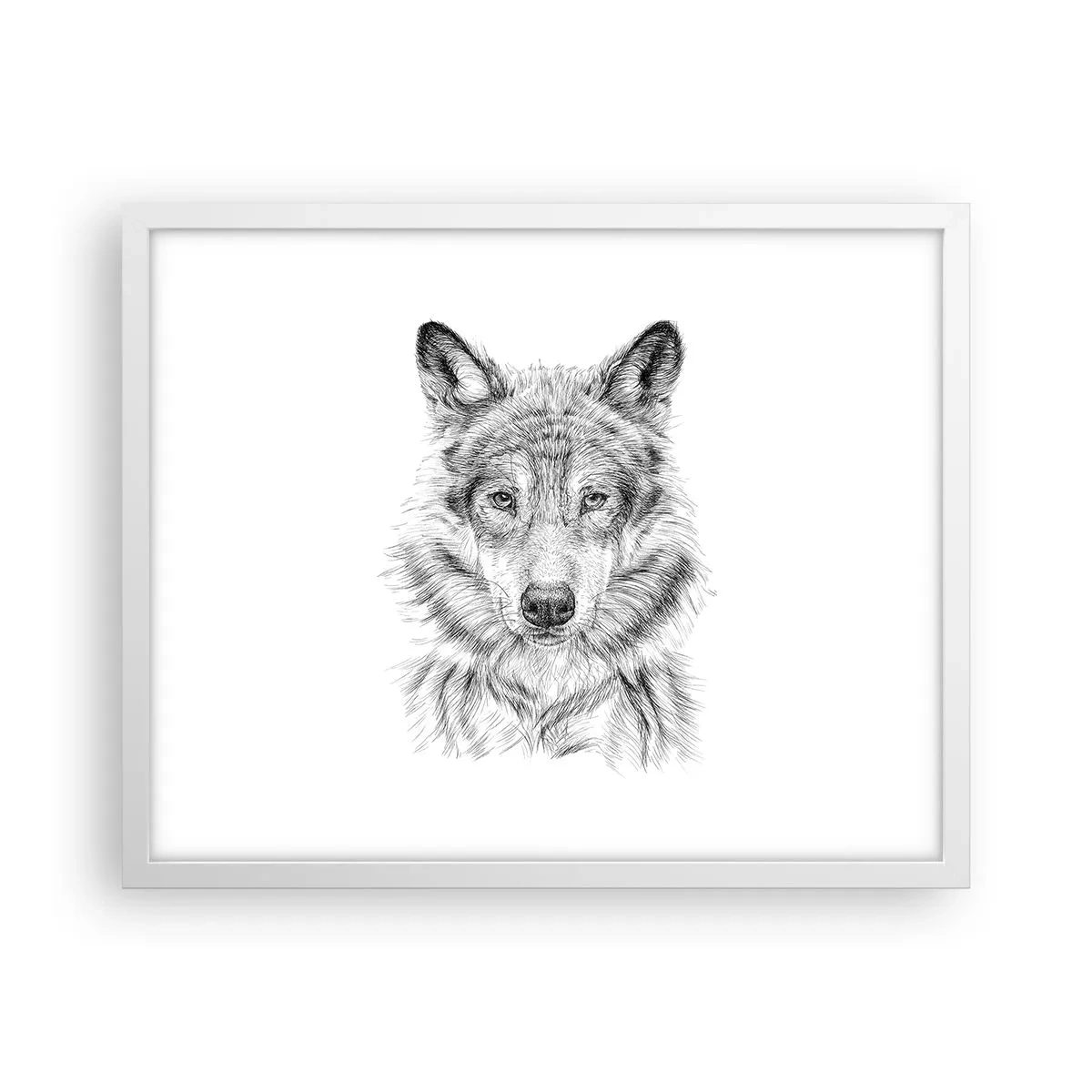 Poszter fekete keretben - Született vezető - 50x40 cm