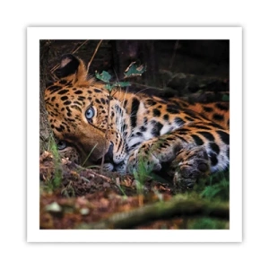 Poszter - Bízz bennem - 60x60 cm