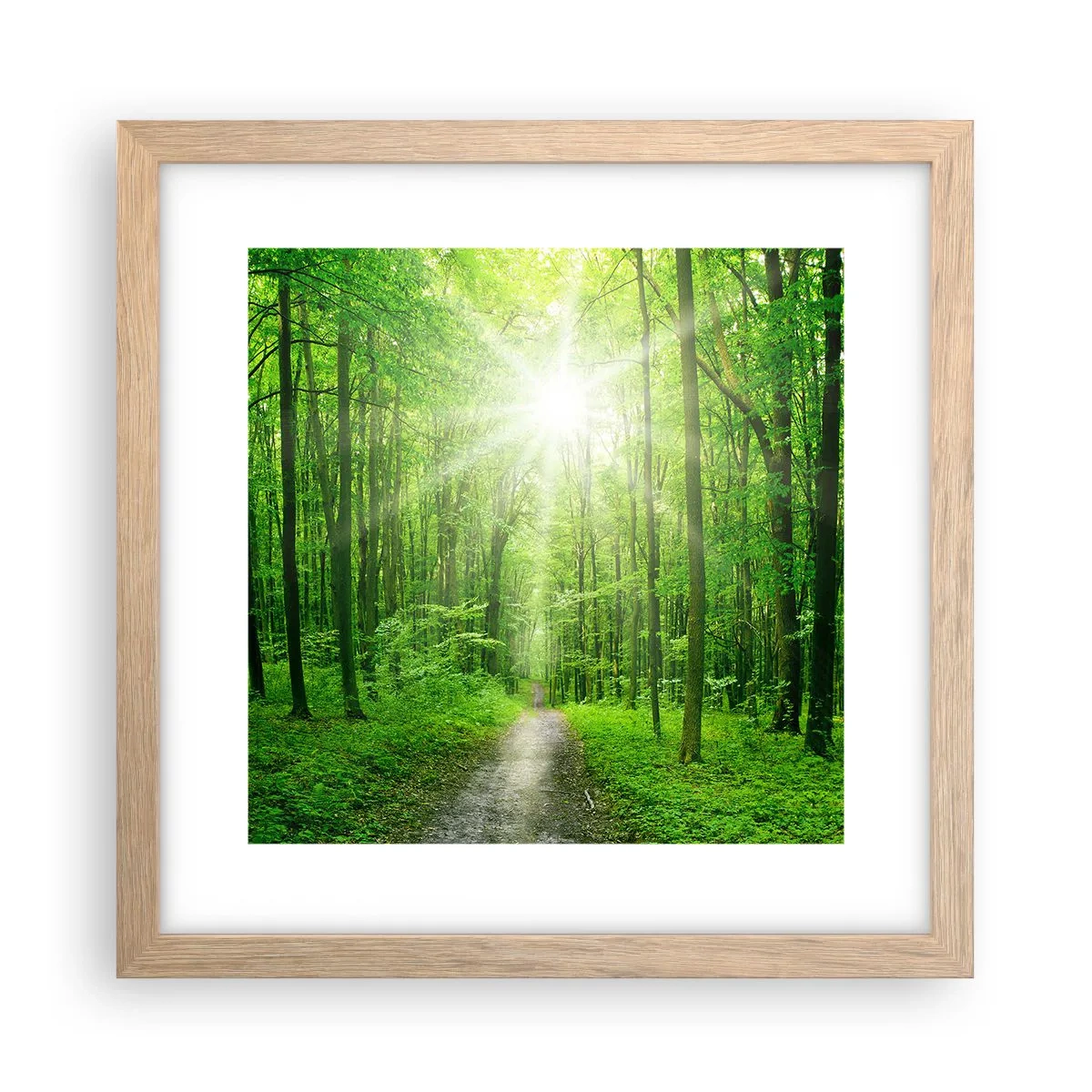 Poszter világos tölgy keretben - A zöld katedrális - 30x30 cm