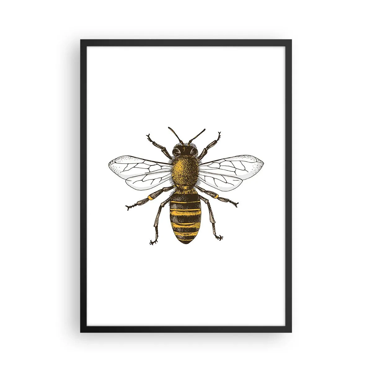 Poszter fehér keretben - Vintage méh részletes illusztráció - 50x70cm - Gyönyörű és jó - Modern fali dekoráció nappalihoz és hálószobához ARTTOR