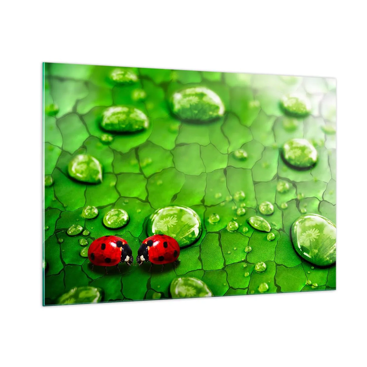 Üveg kép - Találkozás a zöldben - 100x70 cm