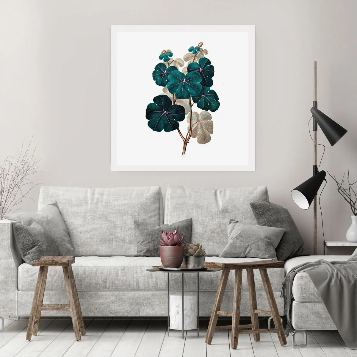 Poszter - Egy régi herbáriumból - 40x40 cm