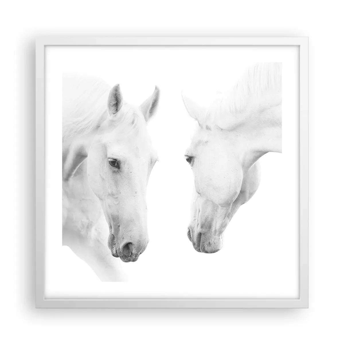Poszter fekete keretben - Ez a barátság...? - 50x50 cm