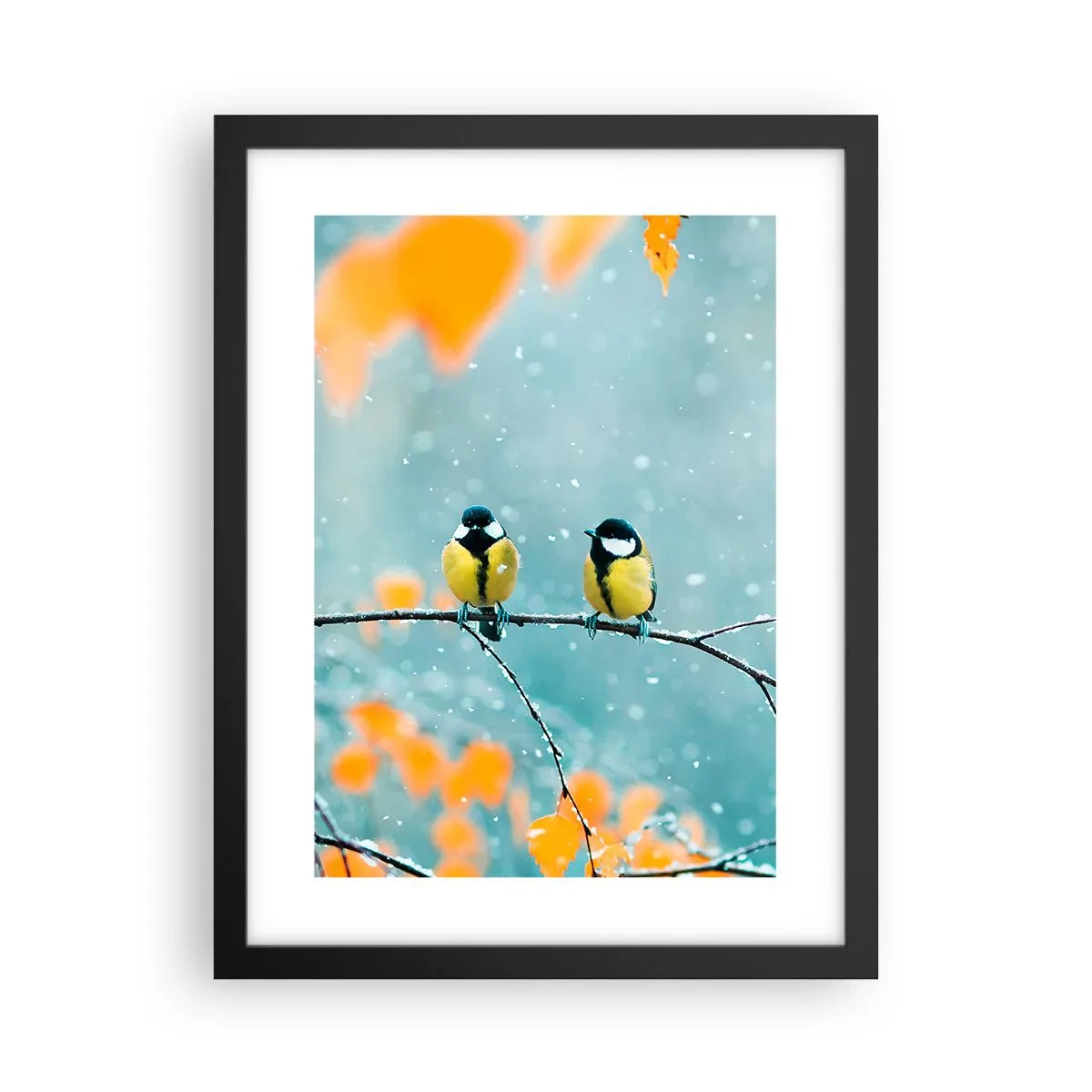 Poszter fehér keretben - Madárpletykák - 30x40 cm