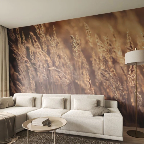 Fotótapéta Standard Eco - Készen az ősz fogadására - Tájkép, Kalászok, Rét - 300x210 cm
