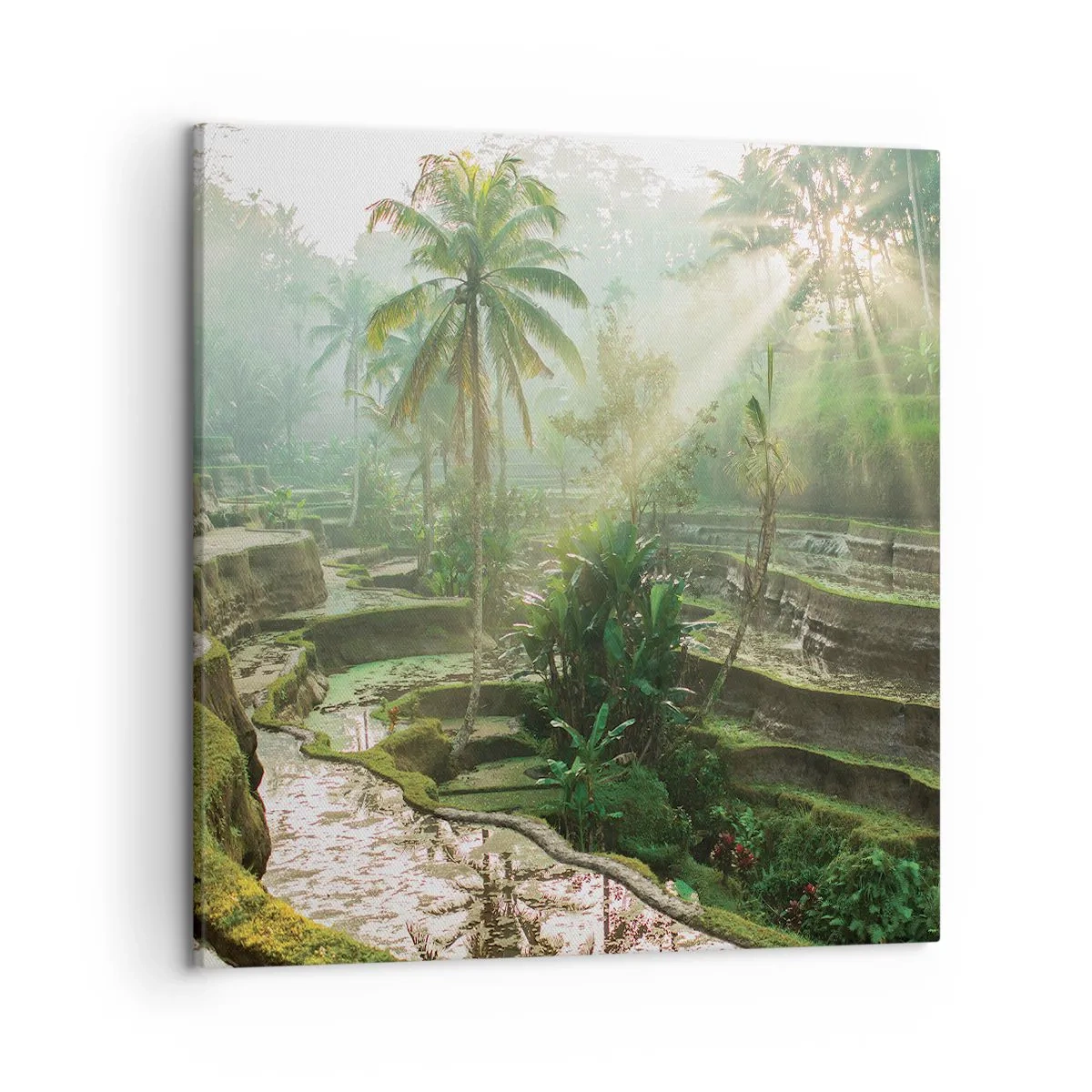 Vászonkép - Felnőni a napon - 50x50 cm