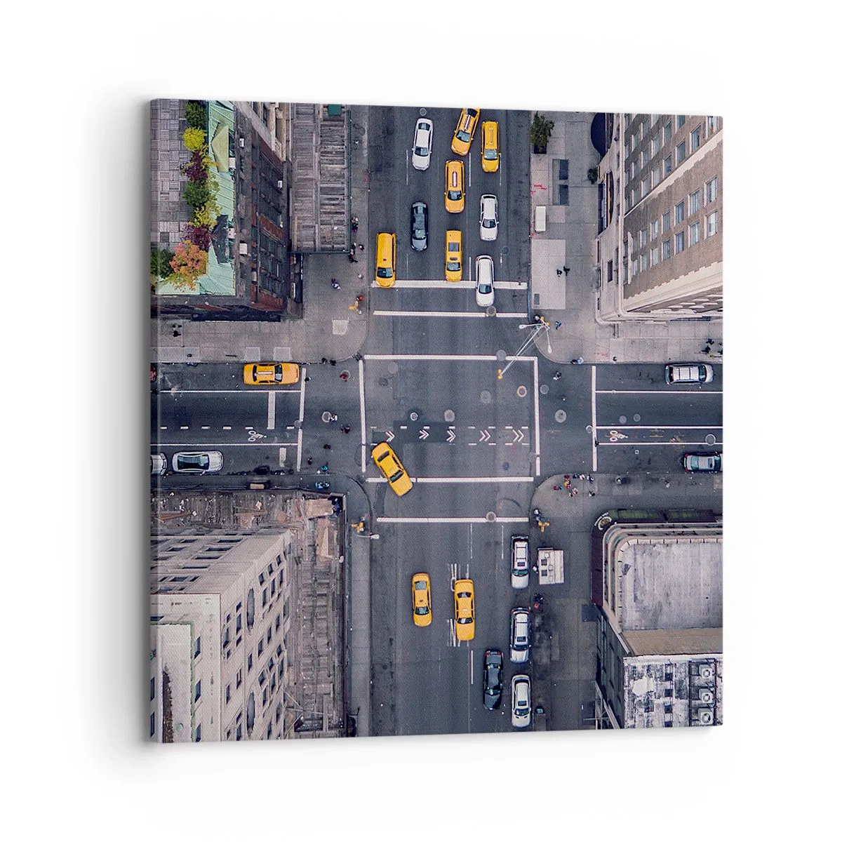 Vászonkép - Egyszerű választás - 70x70 cm
