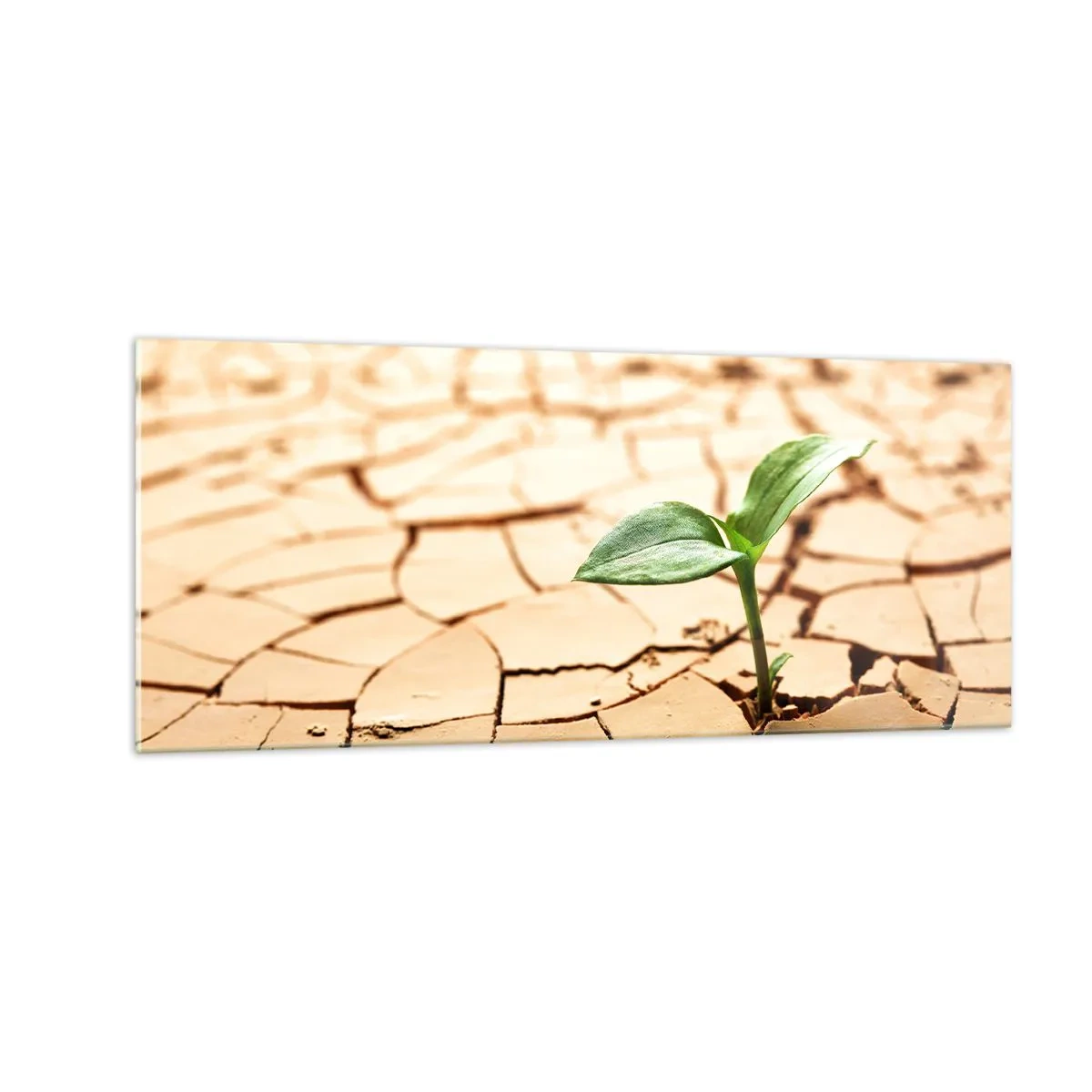 Üveg kép - Az élet fékezhetetlen ereje - 100x40 cm