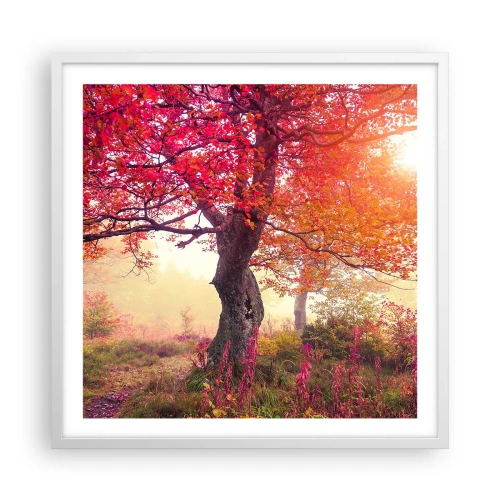 Poszter fekete keretben - Virágzás őrülete - 60x60 cm