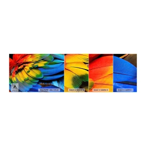 Fotótapéta Minta Öntapadós Deluxe Sticker - Paradicsom madár - Színes tollak, Papagáj tollak, Állatok - 100x30 cm