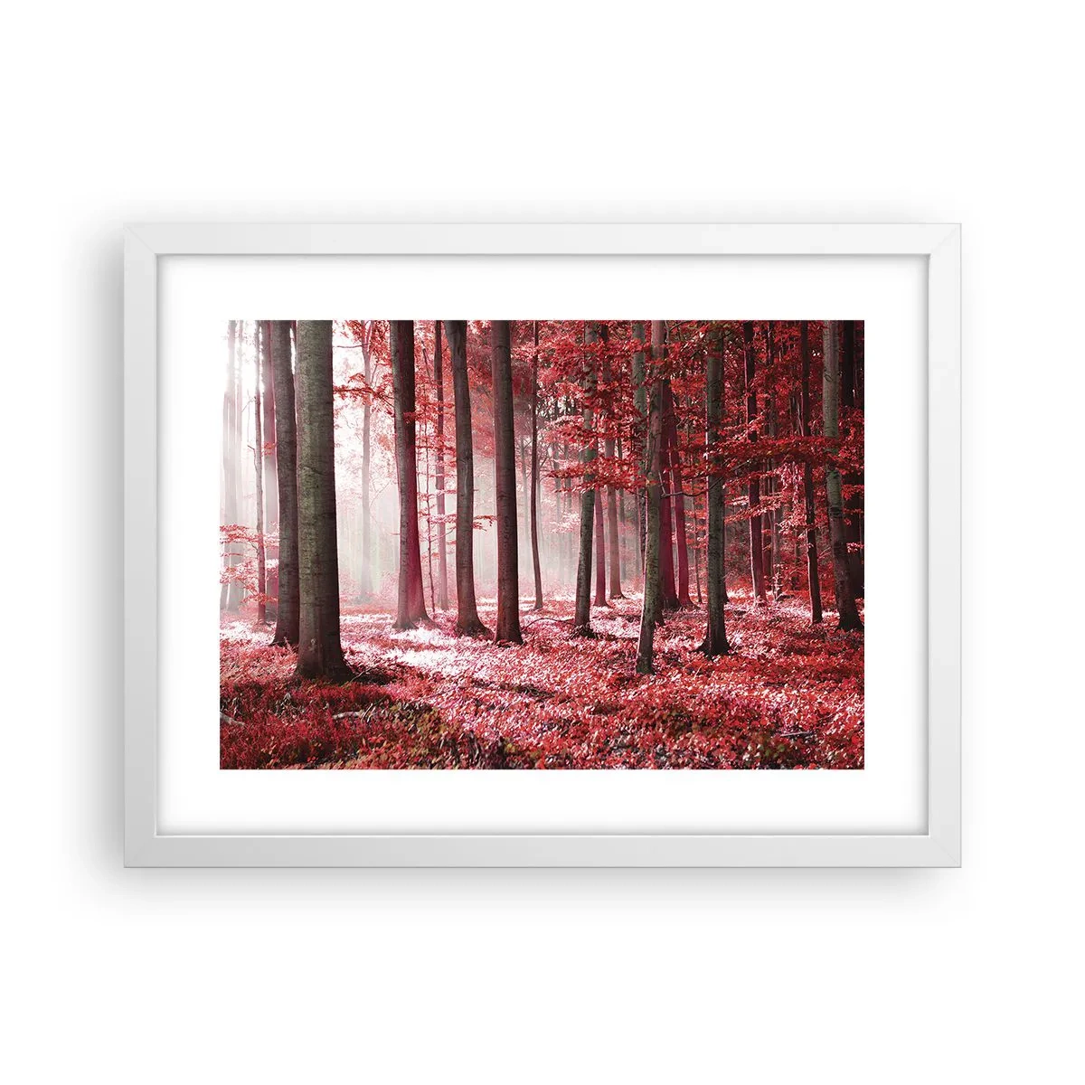 Poszter fekete keretben - A piros különösen szép - 40x30 cm