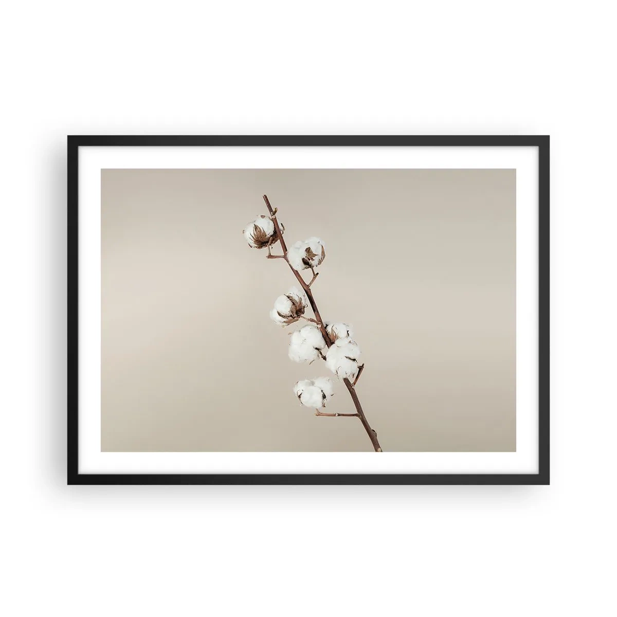 Poszter fehér keretben - A puhaság forrásánál - 70x50 cm