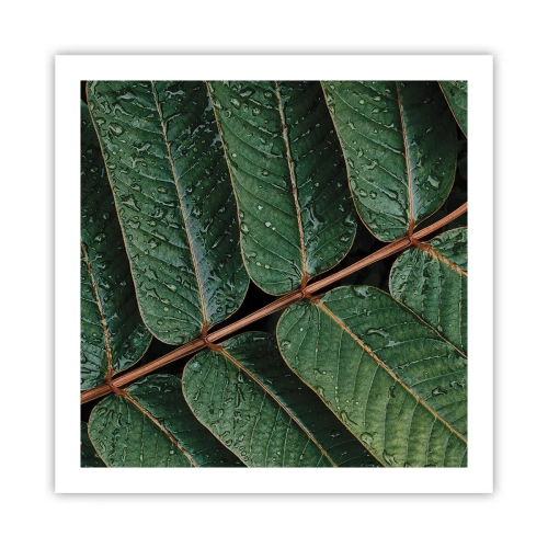 Poszter - Zöld ritmusban - 60x60 cm