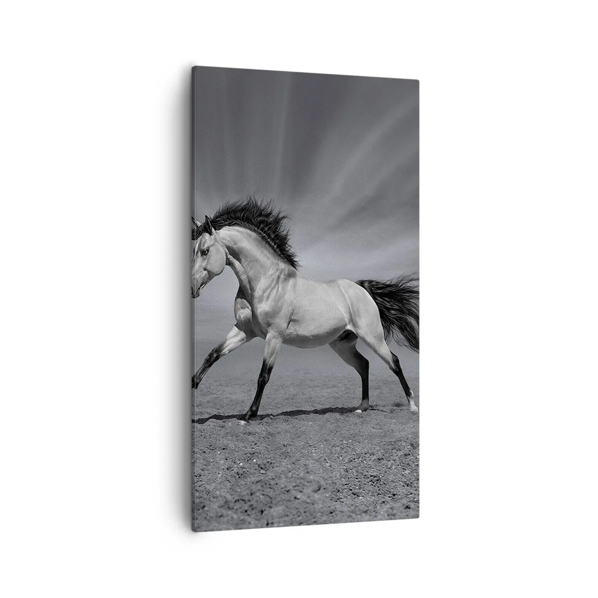 Vászonkép - Megszületett, hogy elképesszen - 55x100 cm