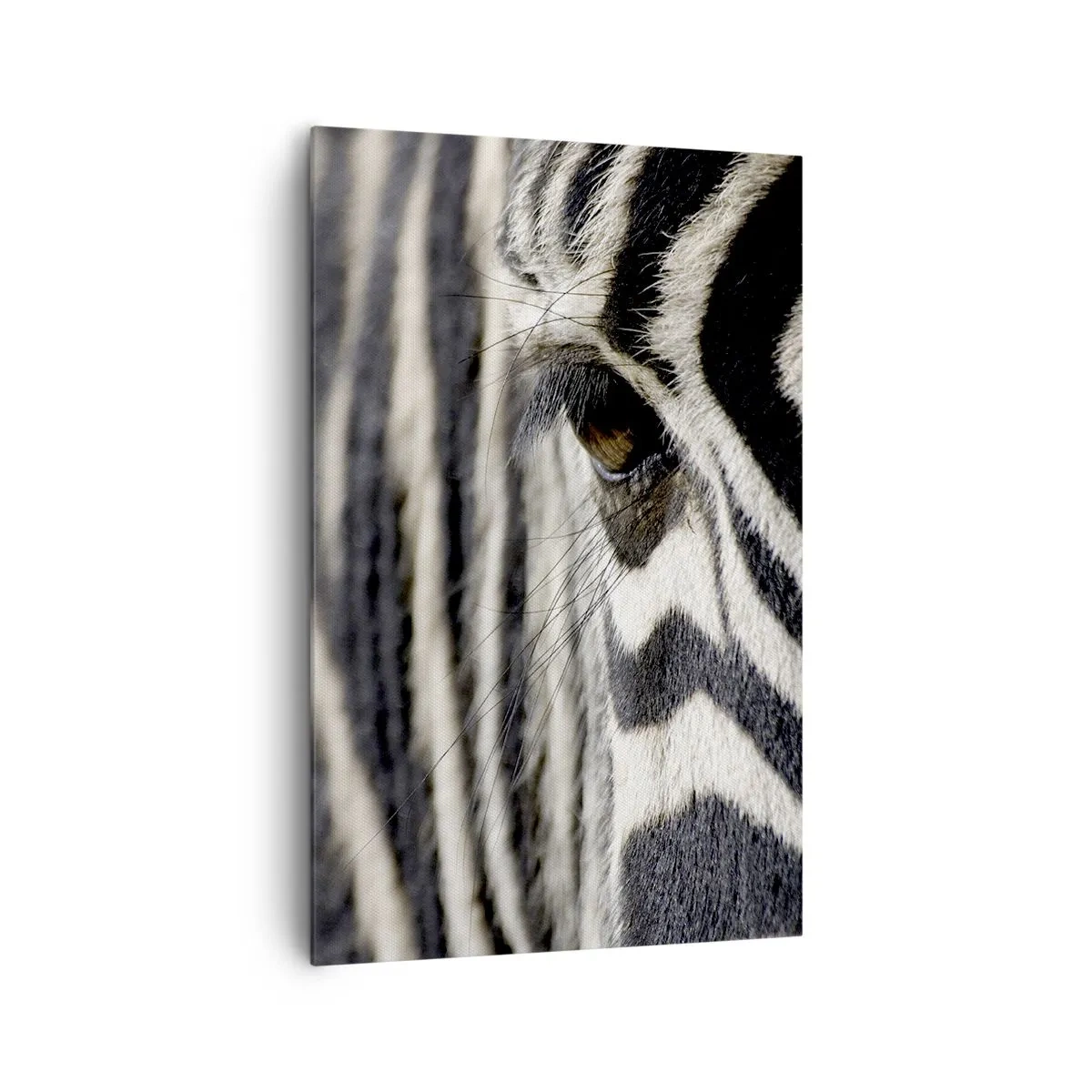 Vászonkép - Csíkos portré - 80x120 cm