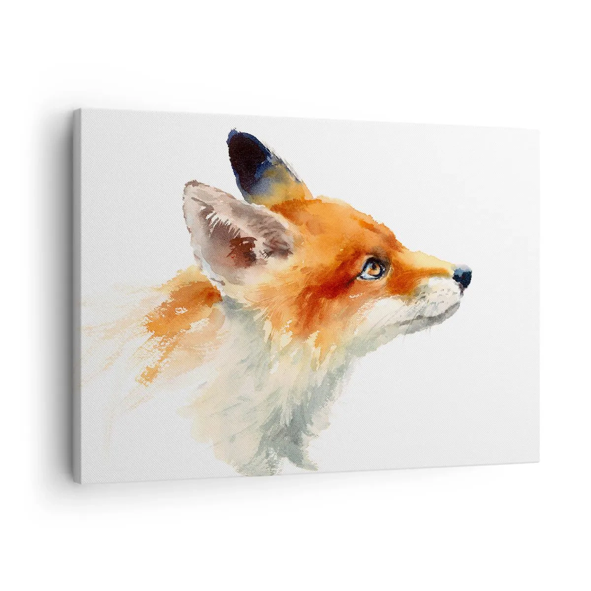 Vászonkép - Vörös róka akvarell stílusban, fehér alapon - 70x50cm - Óvatosság az első - Modern fali dekoráció nappalihoz és hálószobához ARTTOR