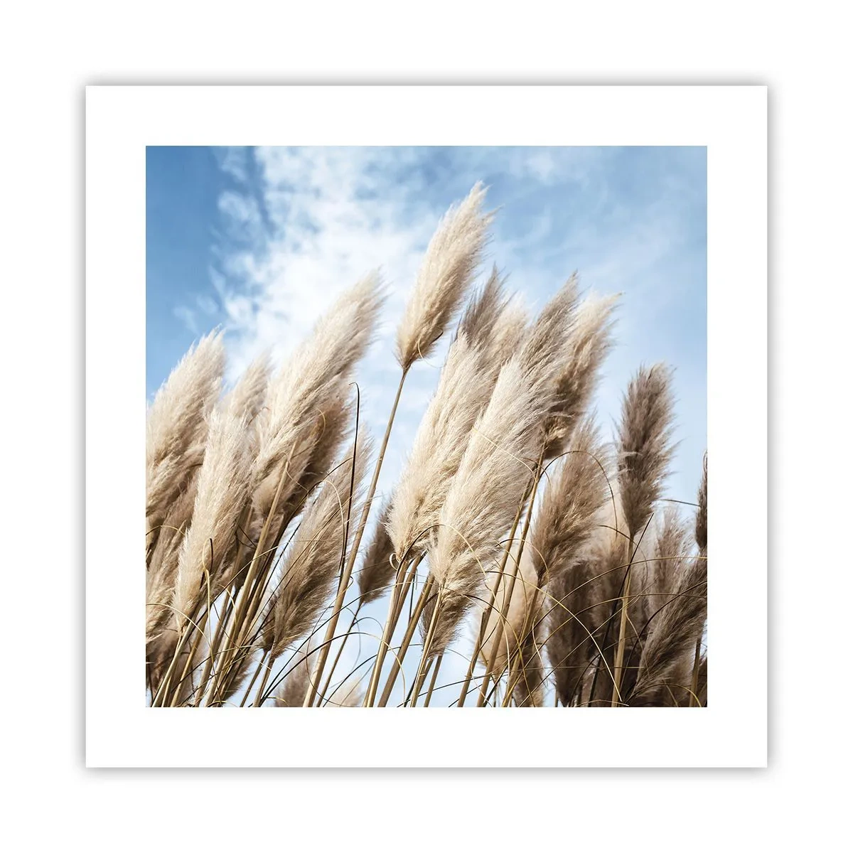 Poszter - Napos és szeles simogatás - 40x40 cm