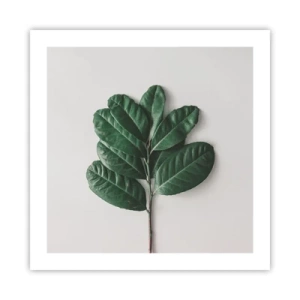 Poszter - Rajz csak a természetről - 50x50 cm