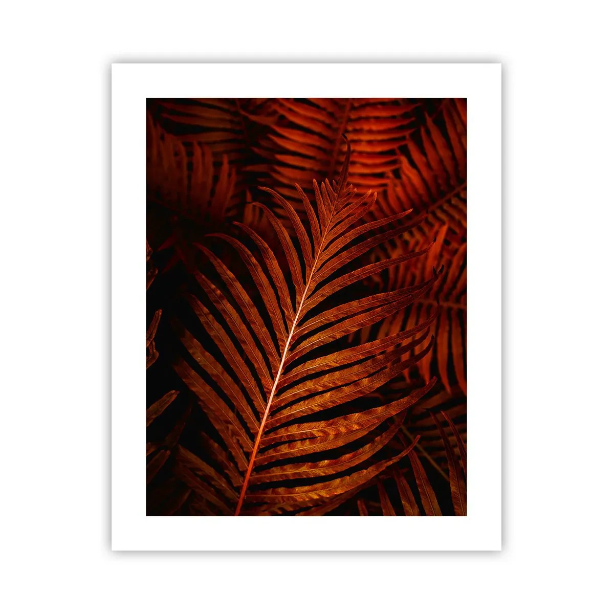 Poszter - Az élet vörös színe - 40x50 cm