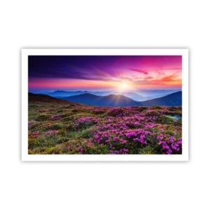 Poszter - A gyógynövények friss fürtjei illatoztak a mezőkről - 91x61 cm