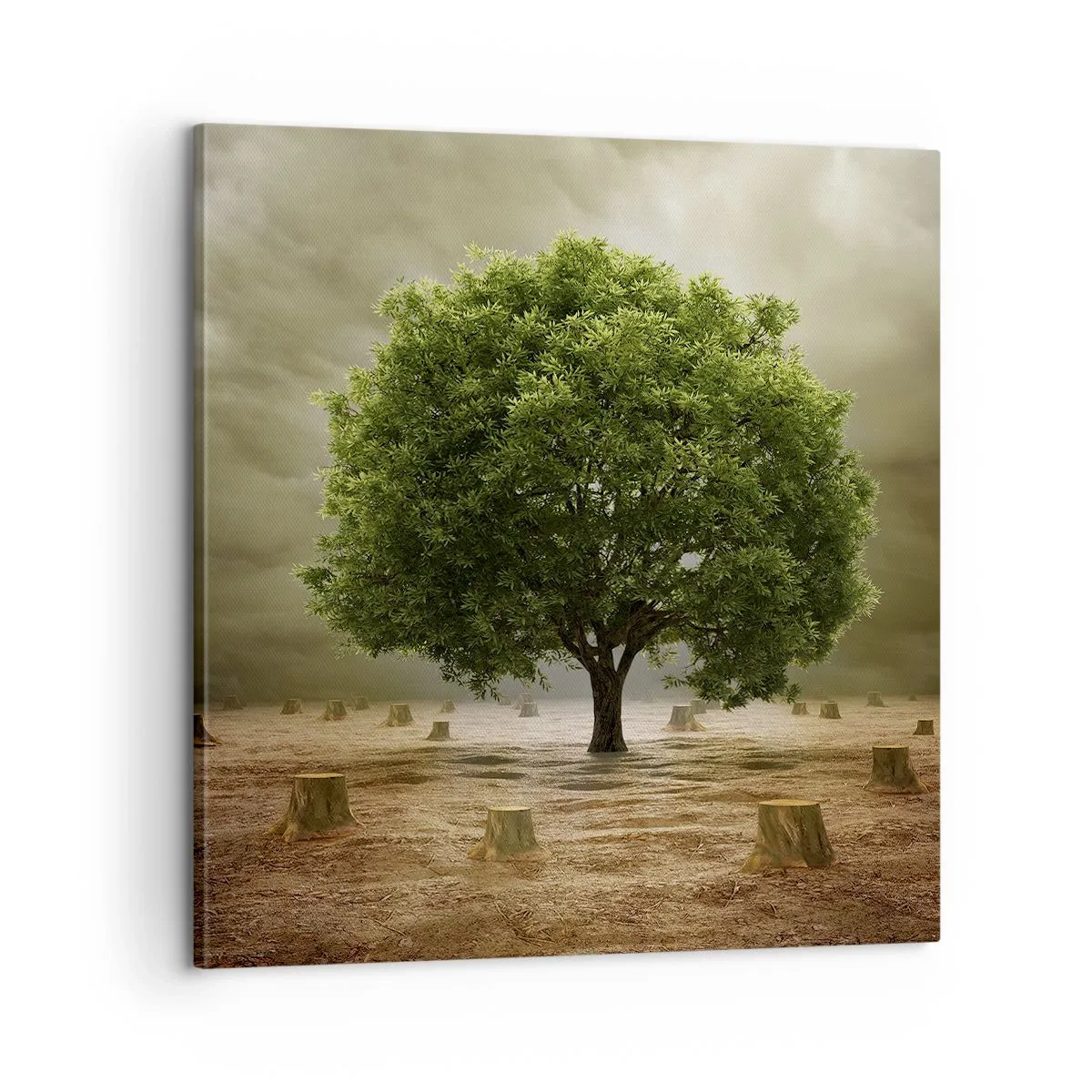 Vászonkép - Egész remény - 60x60 cm
