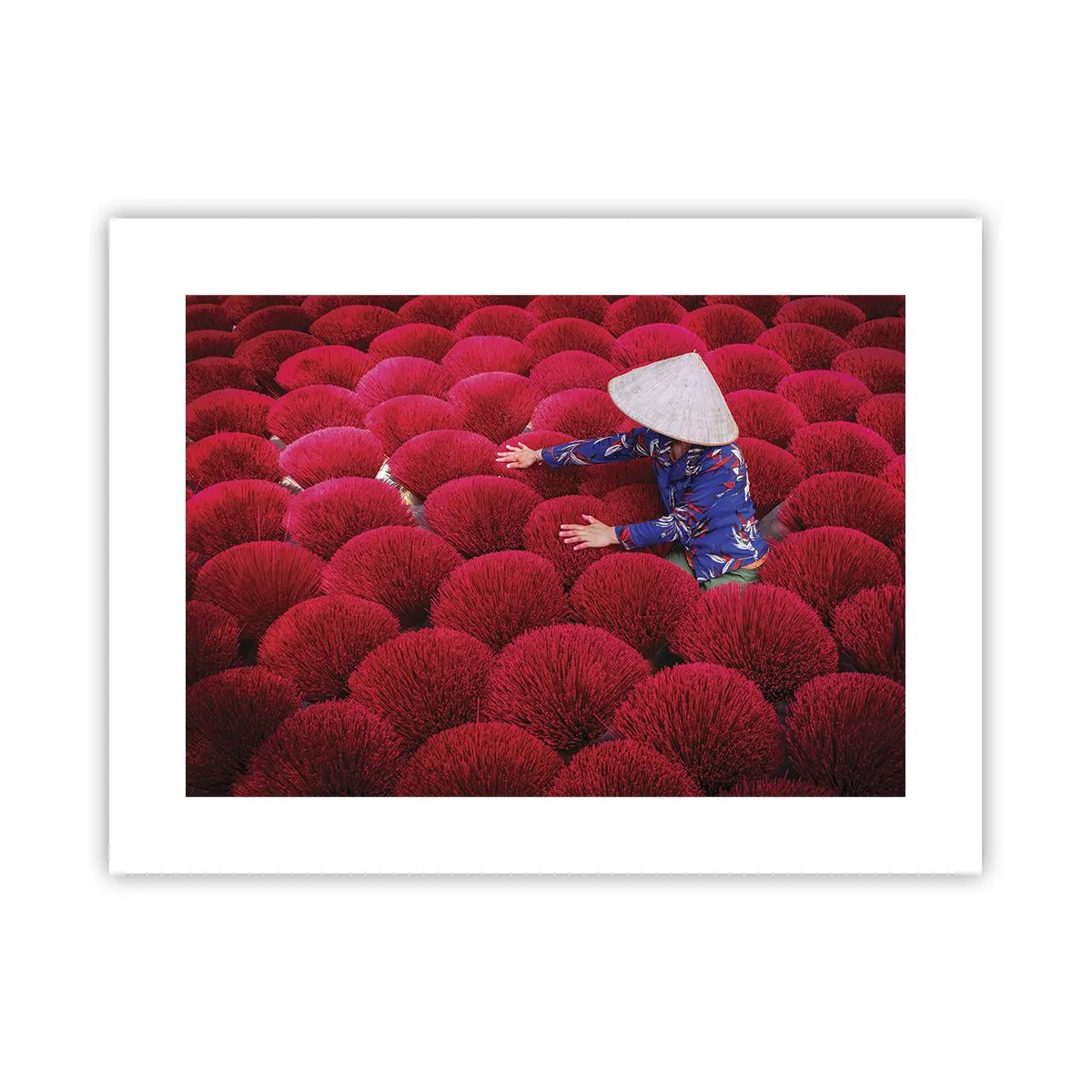 Poszter - A rizsföldön - 40x30 cm