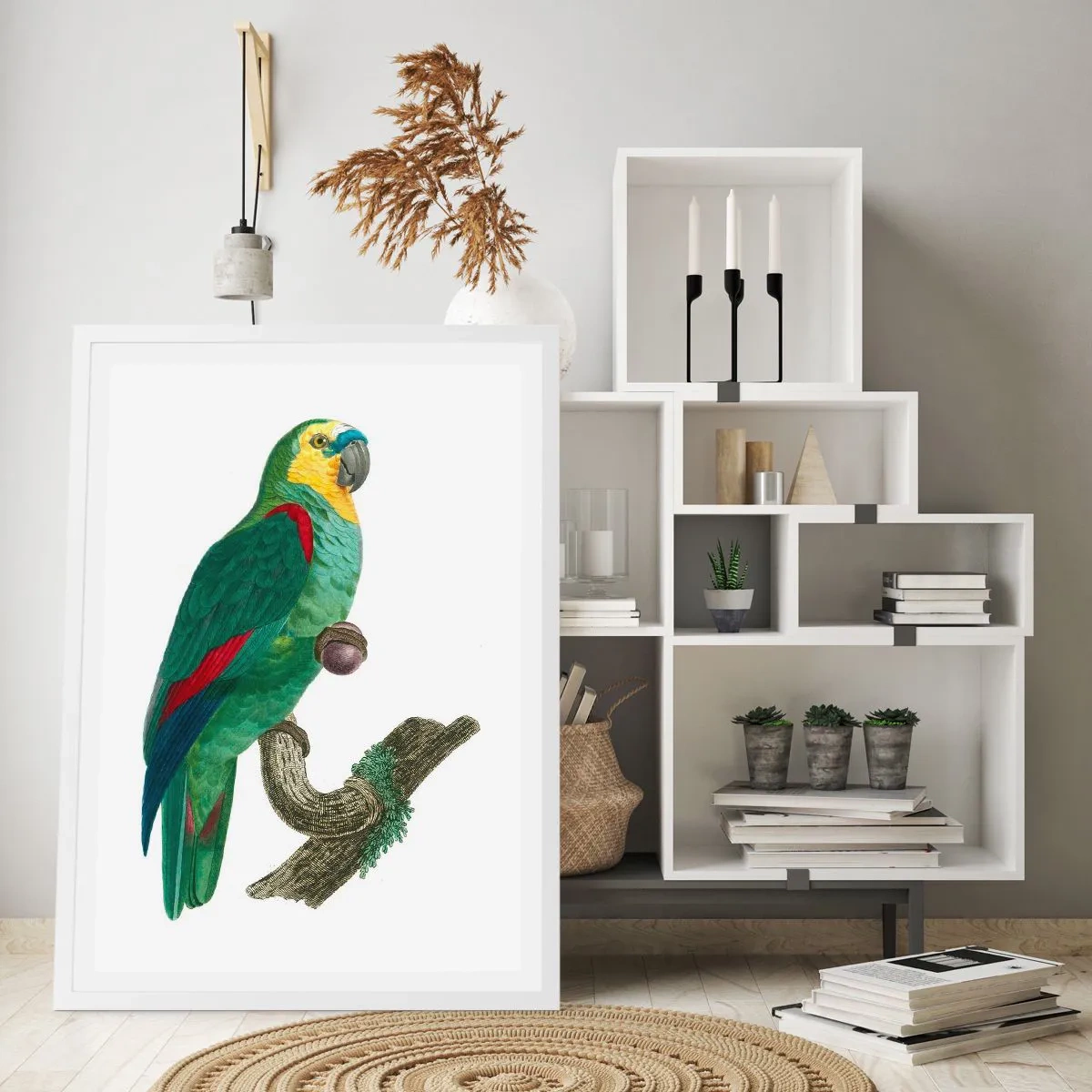 Poszter fekete keretben - Papagáj portré - 61x91 cm