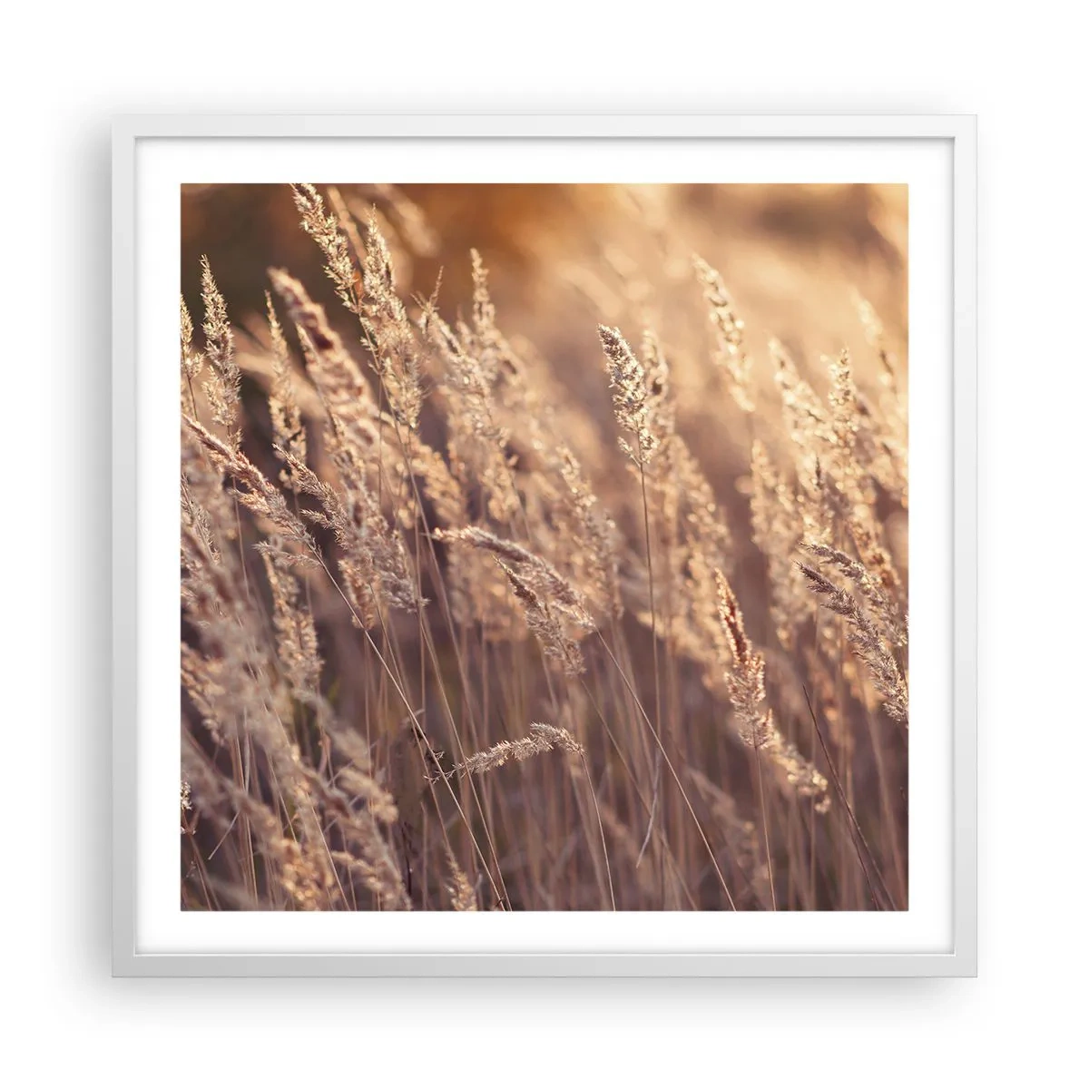 Poszter fekete keretben - Készen az ősz fogadására - 60x60 cm