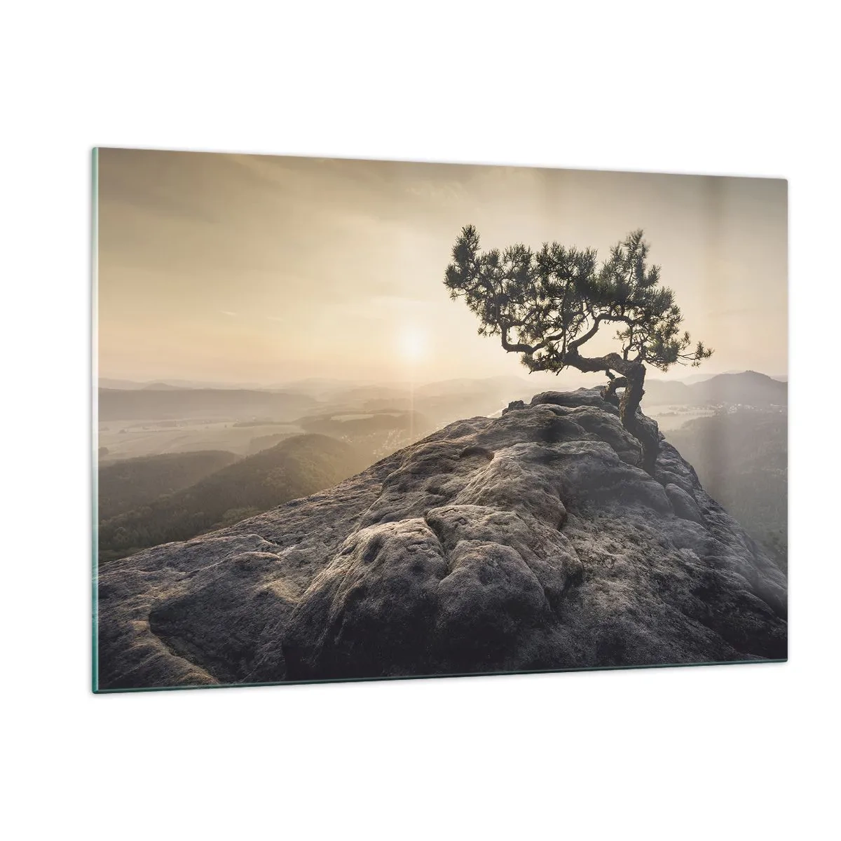 Üveg kép - Az élet mindig győz - 120x80 cm